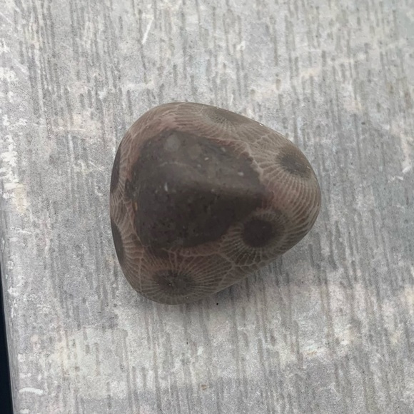 Petoskey stone - Picture 5 of 7